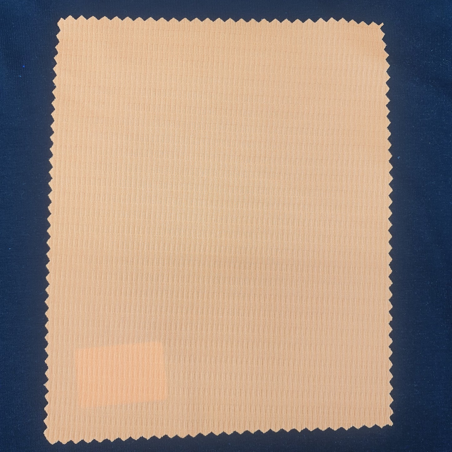100% Polyester Jippy Knit Fabric – 140 GSM, Lightweight & Functional