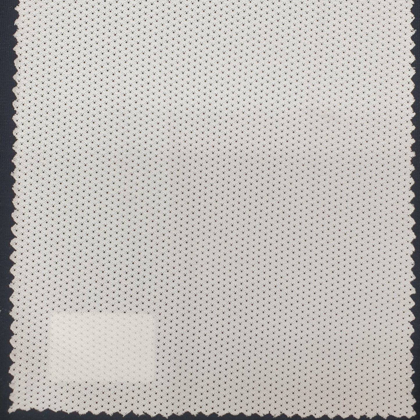 100% Polyester Warp Knit Mesh Jersey - 120 GSM