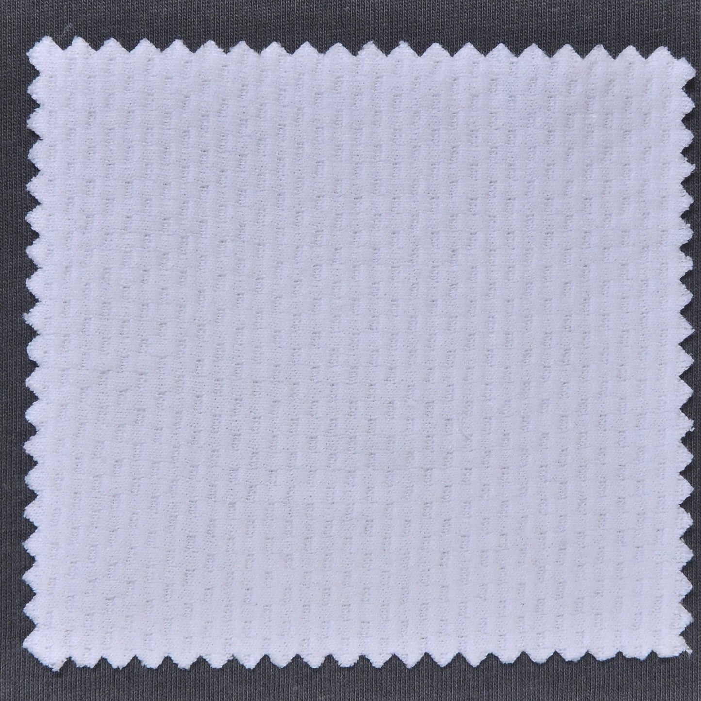 JACQUARD RIB 260GSM