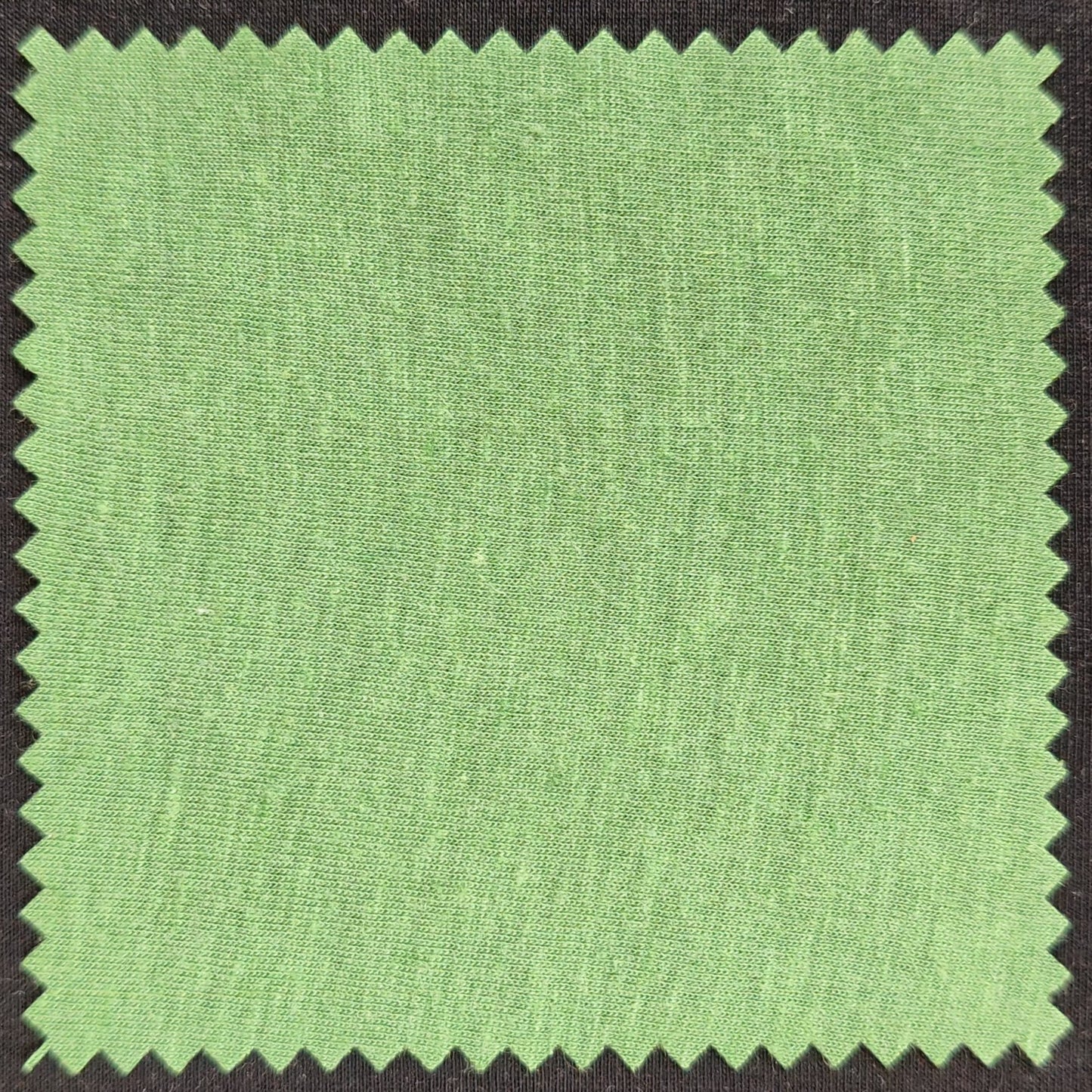 Lyocell Linen Single Jersey Fabric - 140 GSM